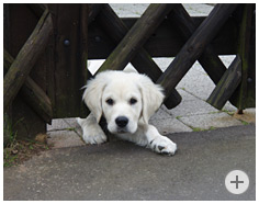 Carlson, 3 Monate alt