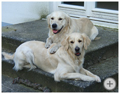 Carlson & Ronja, April 2009