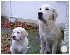 Carlson & Ronja, Januar 2008