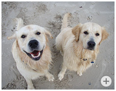Carlson & Ronja, Oktober 2008