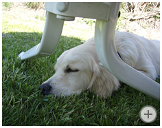Ronja, 6 Monate alt
