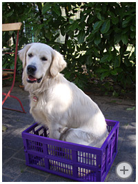 Ronja, 8 Monate alt